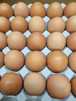 Eggs box 15doz