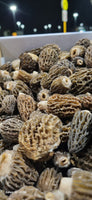 Mushrooms Morel