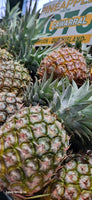 Pineapples