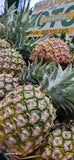Pineapples