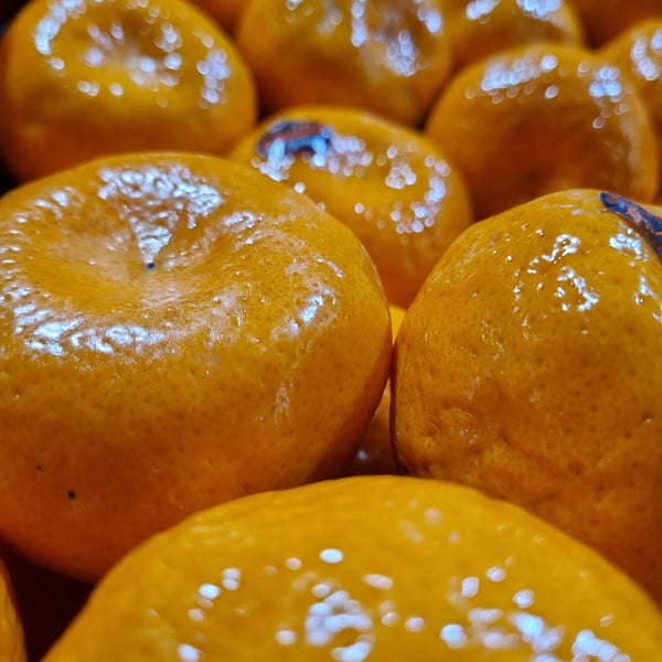 Mandarins Large imperial