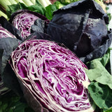 Cabbage Red