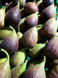 FIGS