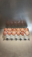 Free Range Eggs (size 800gm)