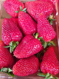 SPECIAL 3 punnets STRAWBERRIES 250g pnts