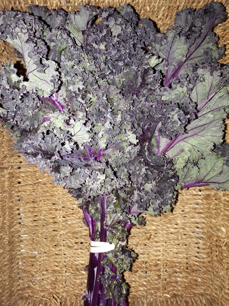 Kale Purple