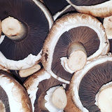 SPECIAL MUSHROOMS