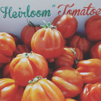 Tomatoes Heirloom 500g punnets