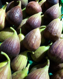 FIGS