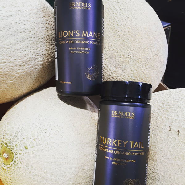 Turkey Tail mushroom powder 100%natural
